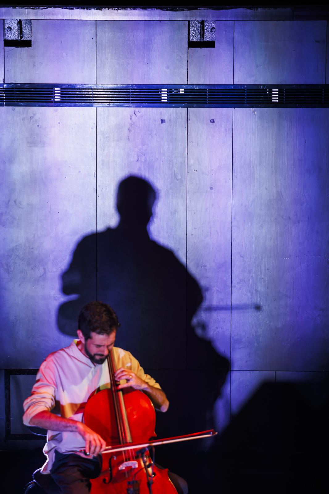 Ricardo Januário, violoncelo